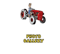 Photo Gallery