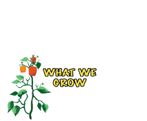 What We Grow